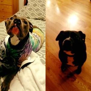 Meet your Posher, Claire